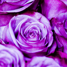 可靠的自助购买网站的DDOS网页端